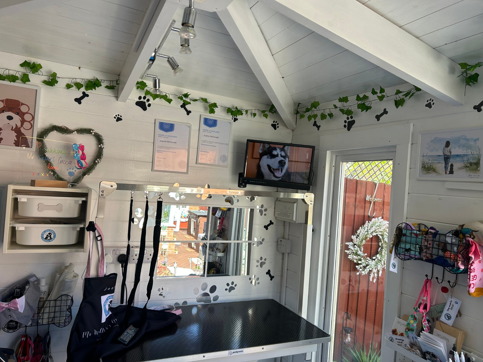 Grooming table and Dog TV inside the Prenton cabin