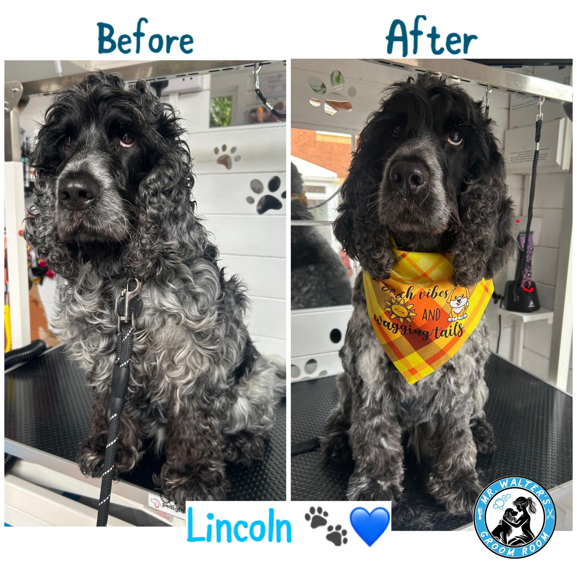 Lincoln after a groom in Prenton