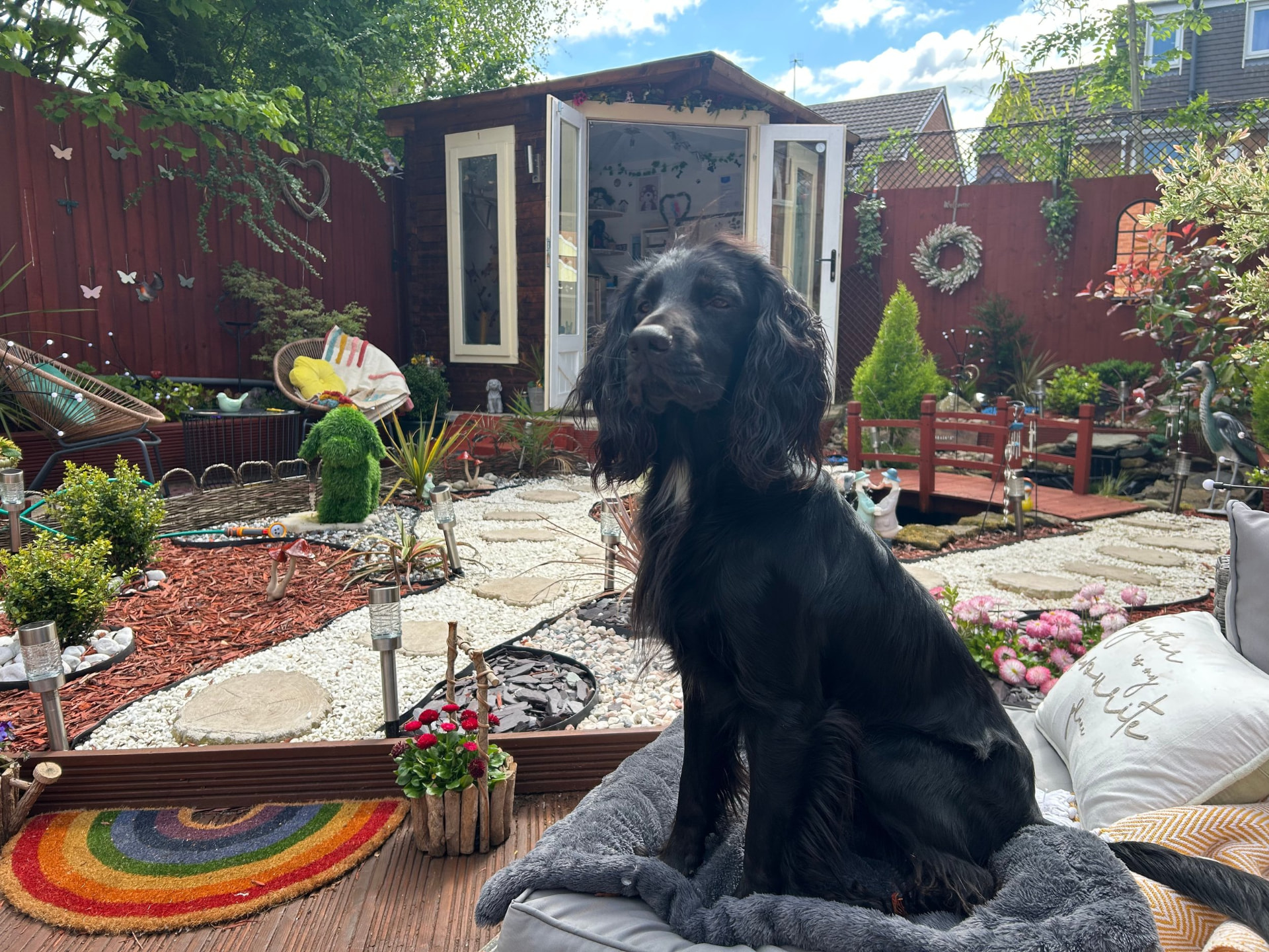 Mr Walter, Mr Walter's Groom Room, Prenton