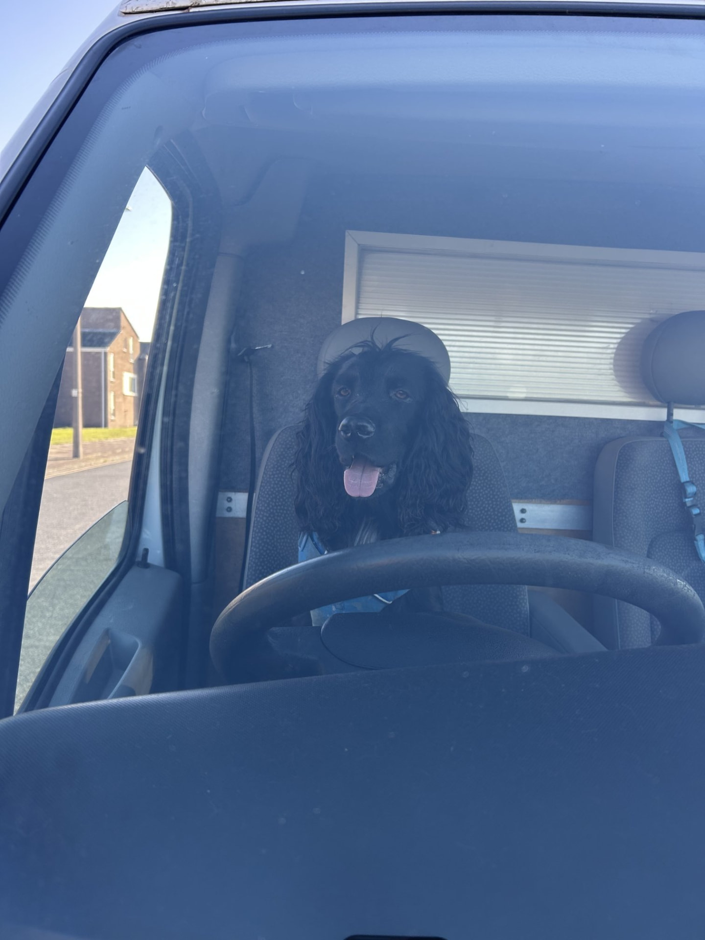 The mobile grooming van covering Wirral